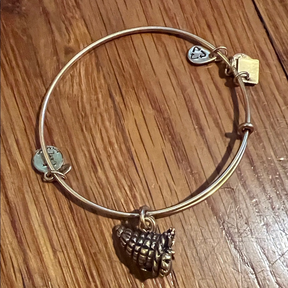 Alex and Ani Gold Turtle Charm Bracelet